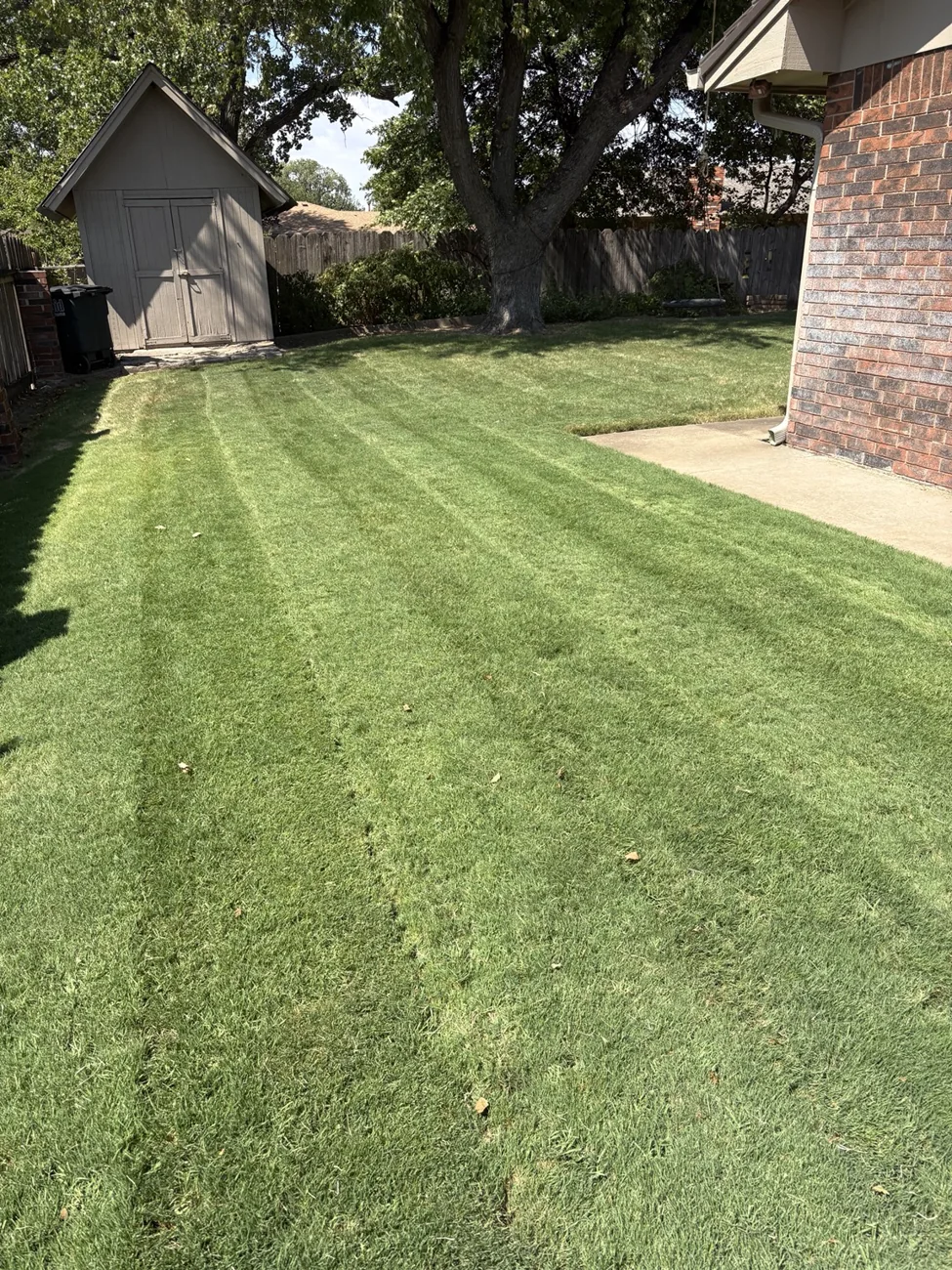 Neatly maintained green backyard lawn