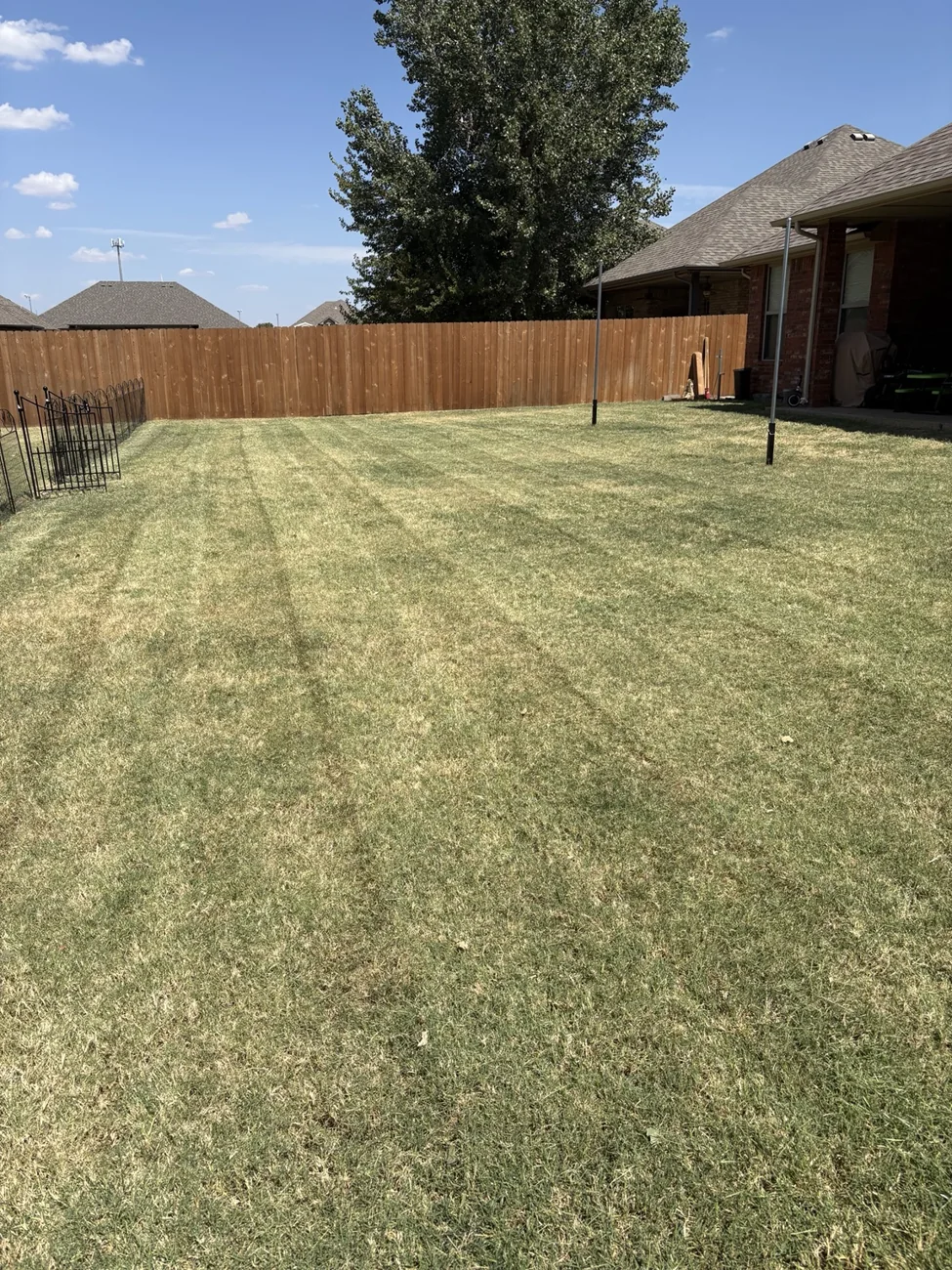 Freshly cut lawn with visible mowing lines inside a fenced backyard