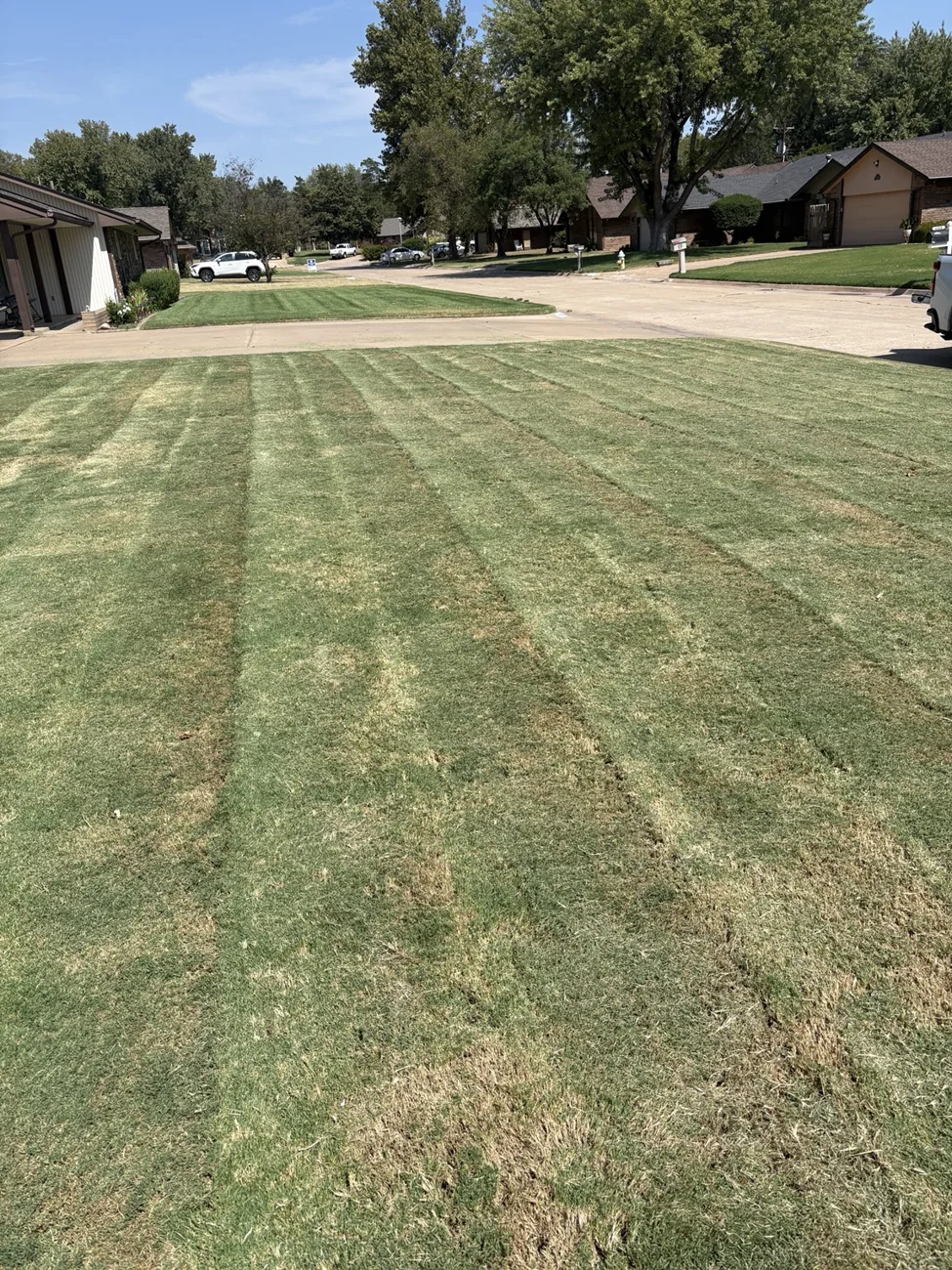 Striped freshly mowed front lawn