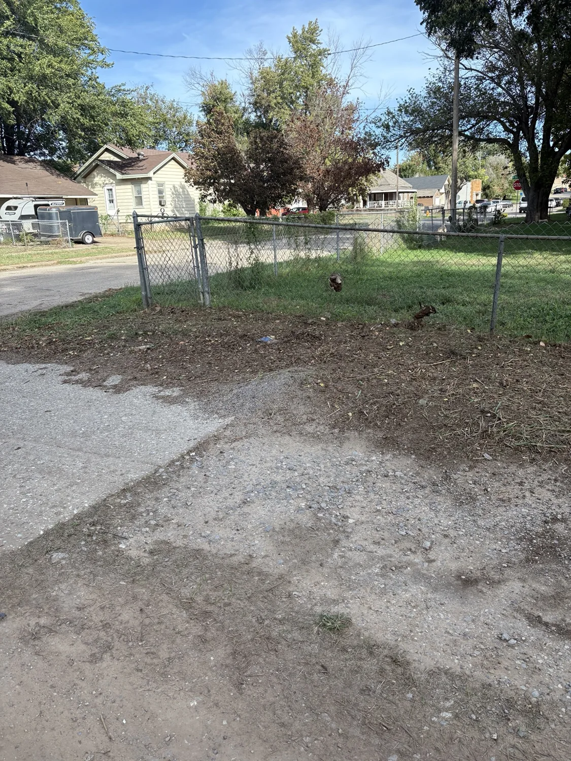 After: overgrown vegetation removed to reveal the fence and cleared ground